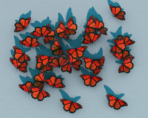 Red Butterfly 